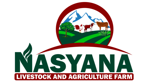 Nasyana Farm Logo